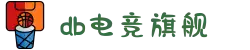 DB电竞(DBGame)官方网站-华语电竞行业引领者